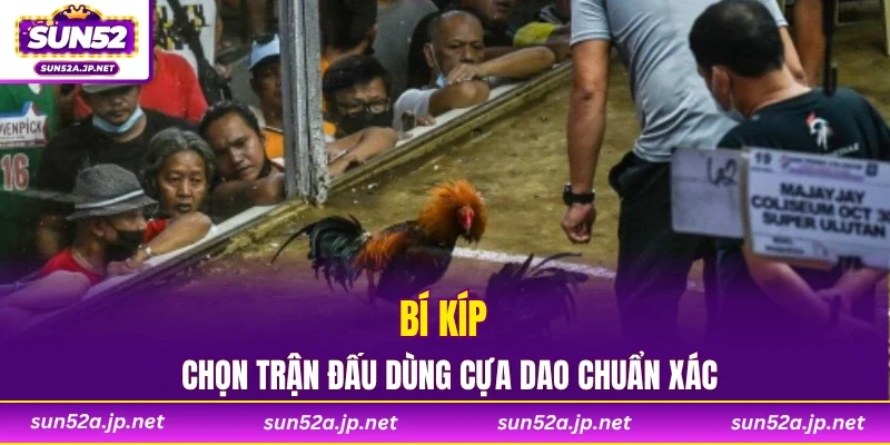 Bí kíp chọn trận đấu dùng cựa dao chuẩn xác