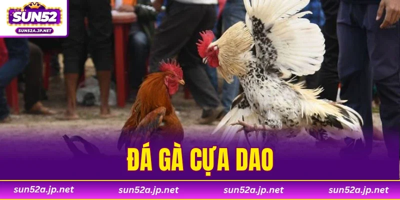 Đá Gà Cựa Dao