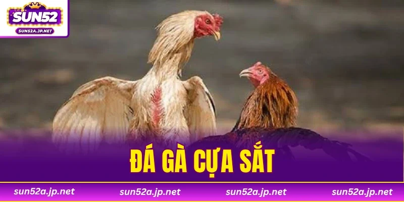 Đá Gà Cựa Sắt