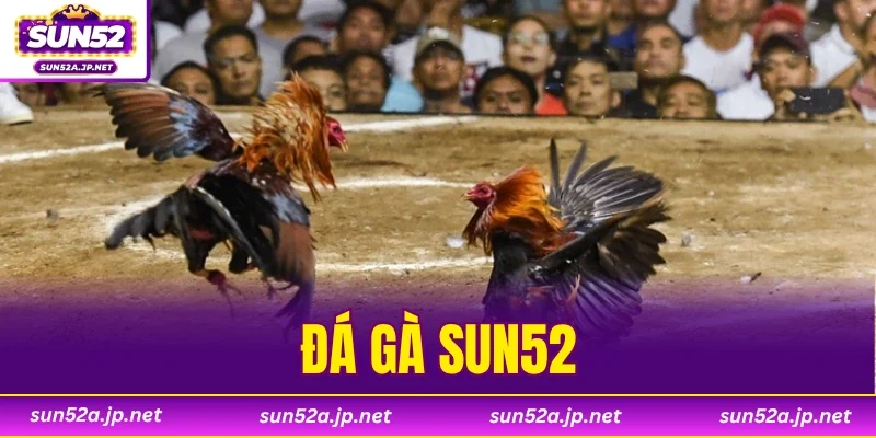Đá Gà SUN52