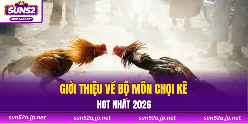 Giới thiệu về bộ môn chọi kê hot nhất 2026