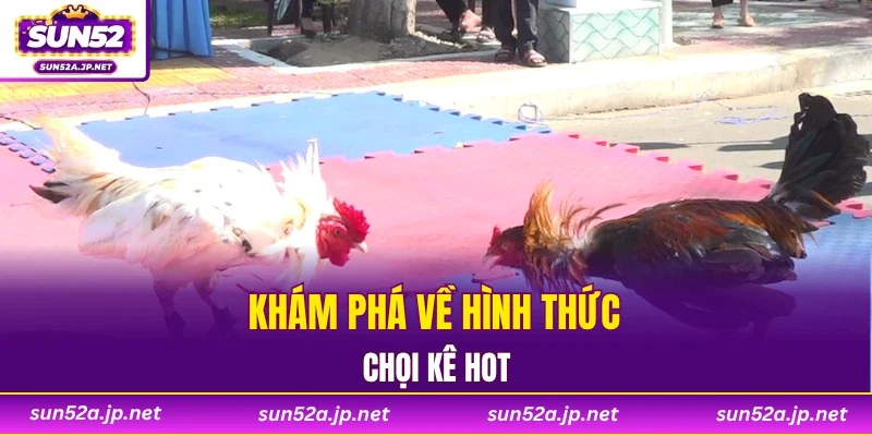 Khám phá về hình thức chọi kê hot