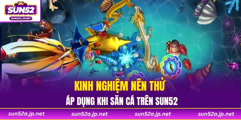 Kinh nghiệm nên thử áp dụng khi săn cá trên SUN52