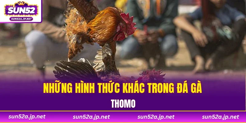 Những hình thức khác trong đá gà Thomo