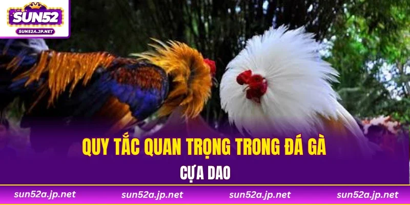 Quy tắc quan trọng trong đá gà cựa dao