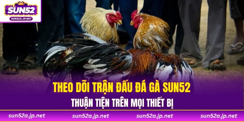 Theo dõi trận đấu đá gà SUN52 thuận tiện trên mọi thiết bị