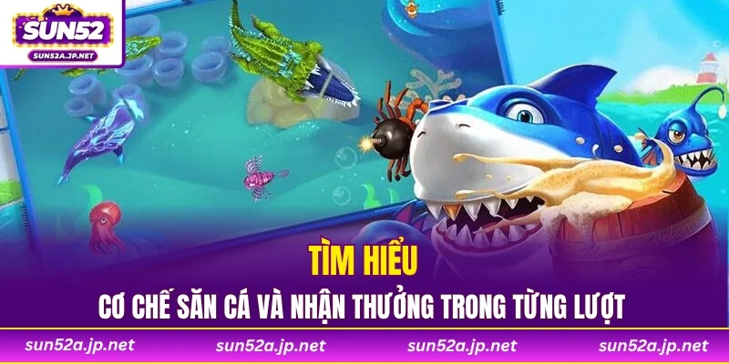 Tìm hiểu cơ chế săn cá và nhận thưởng trong từng lượt